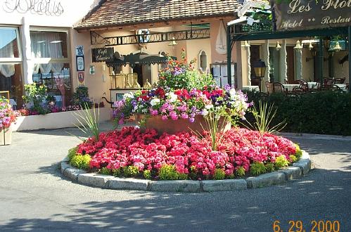 Flowers In Yvoire
